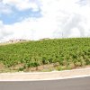 Partanna 2010 (576)